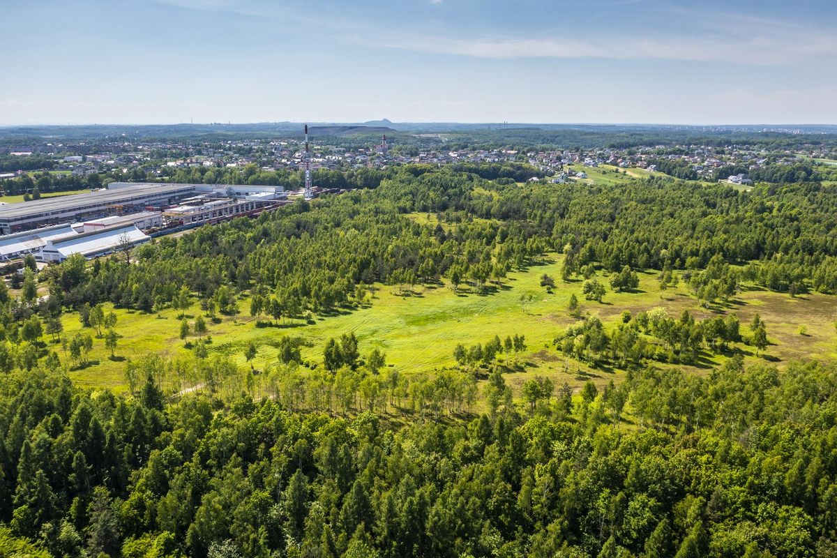 Teren inwestycyjny w Rybniku sprzedany za ponad 16 milionów złotych