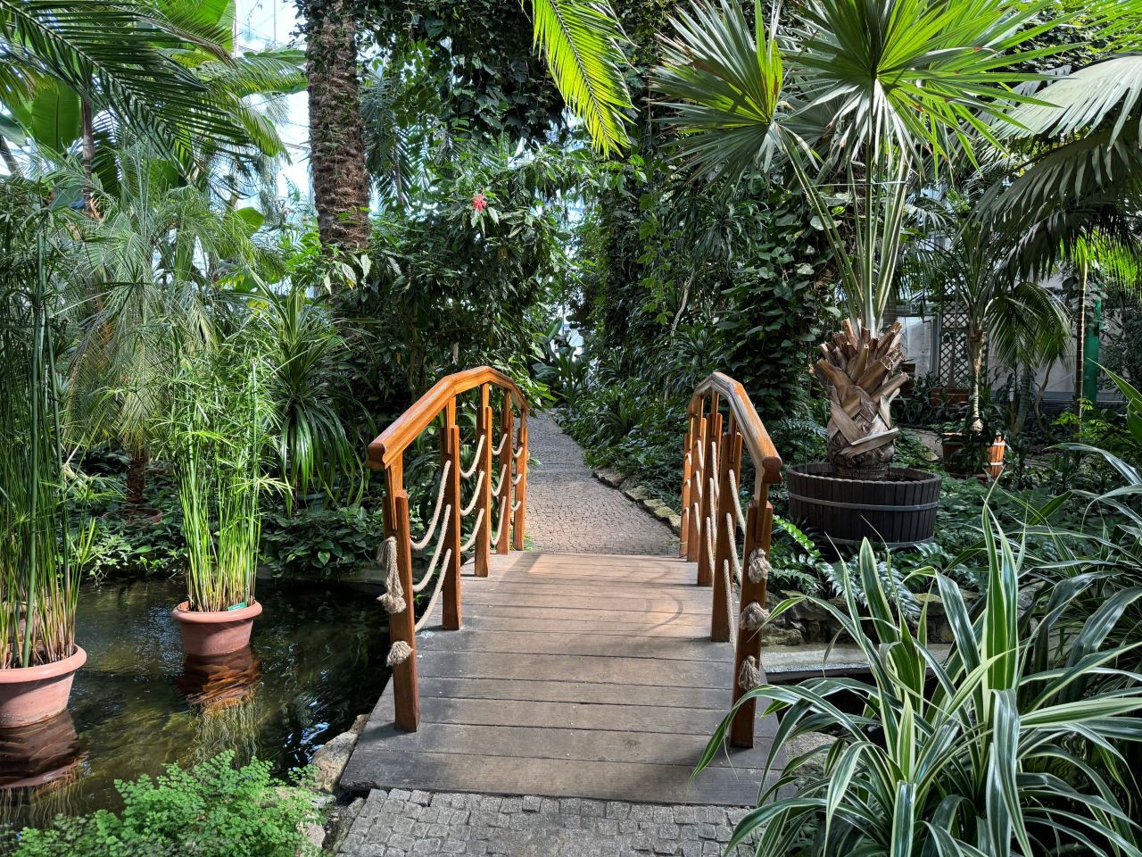 Przed nami miejskie obchody Światowego Dnia Zdrowia Psychicznego w Palmiarni