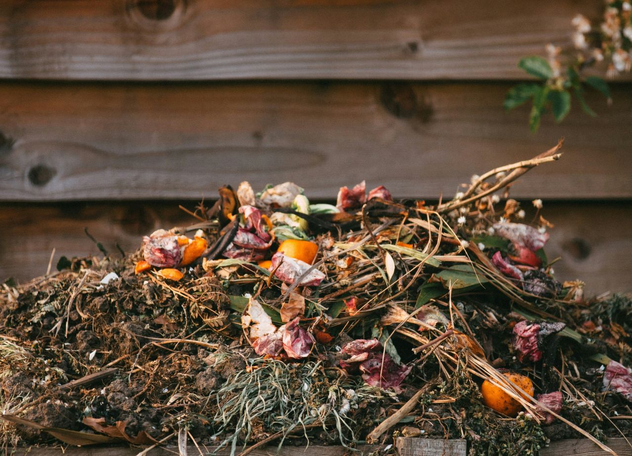 Bioodpady po gliwicku – ważne zmiany, o których warto wiedzieć!