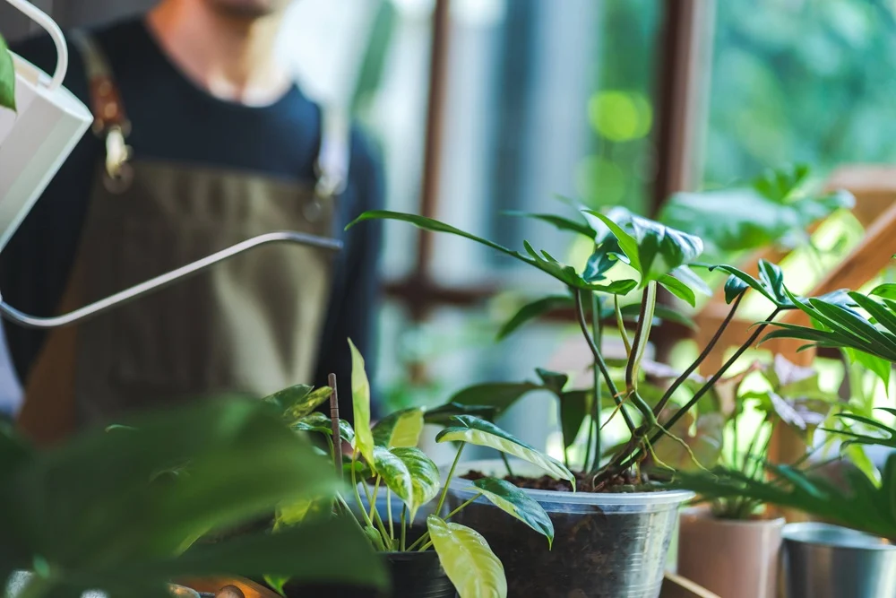 Jak zdobyć kwalifikacje ogrodnicze? Praktyczna ścieżka dla przyszłych ogrodników