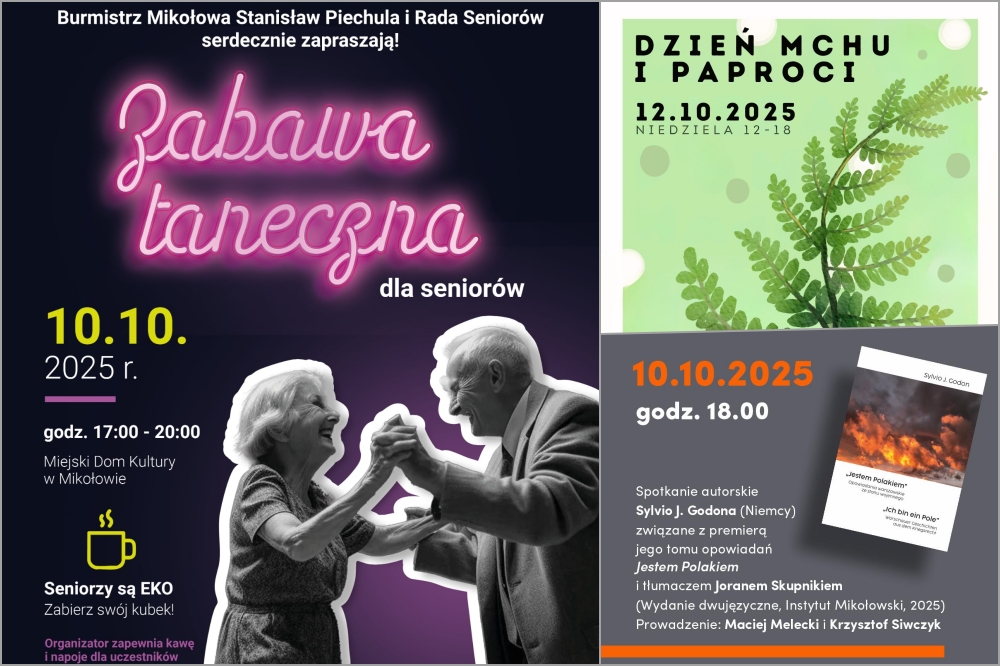 Mikołowskie wydarzenia weekendowe – koncerty, biegi charytatywne i wiele atrakcji