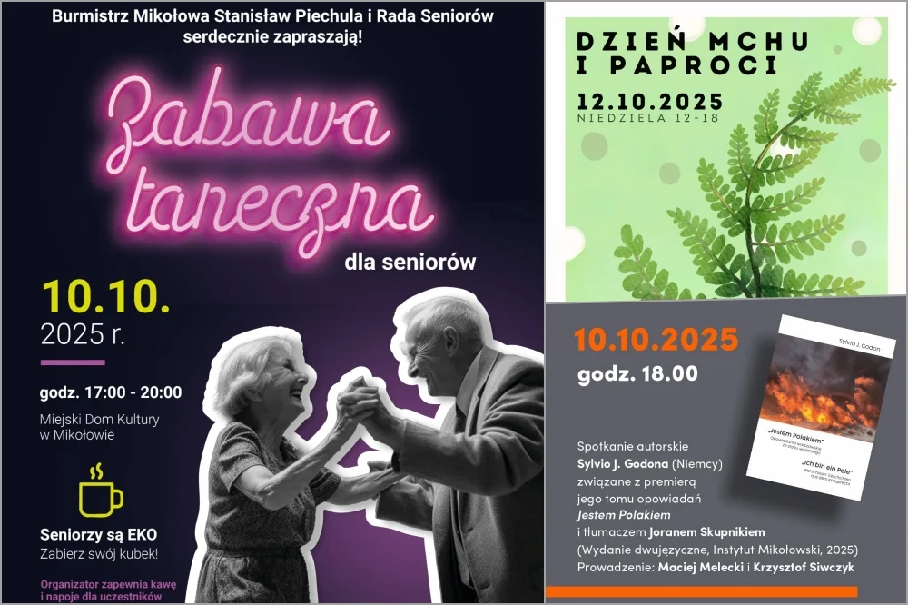 Mikołowskie wydarzenia weekendowe – koncerty, biegi charytatywne i wiele atrakcji