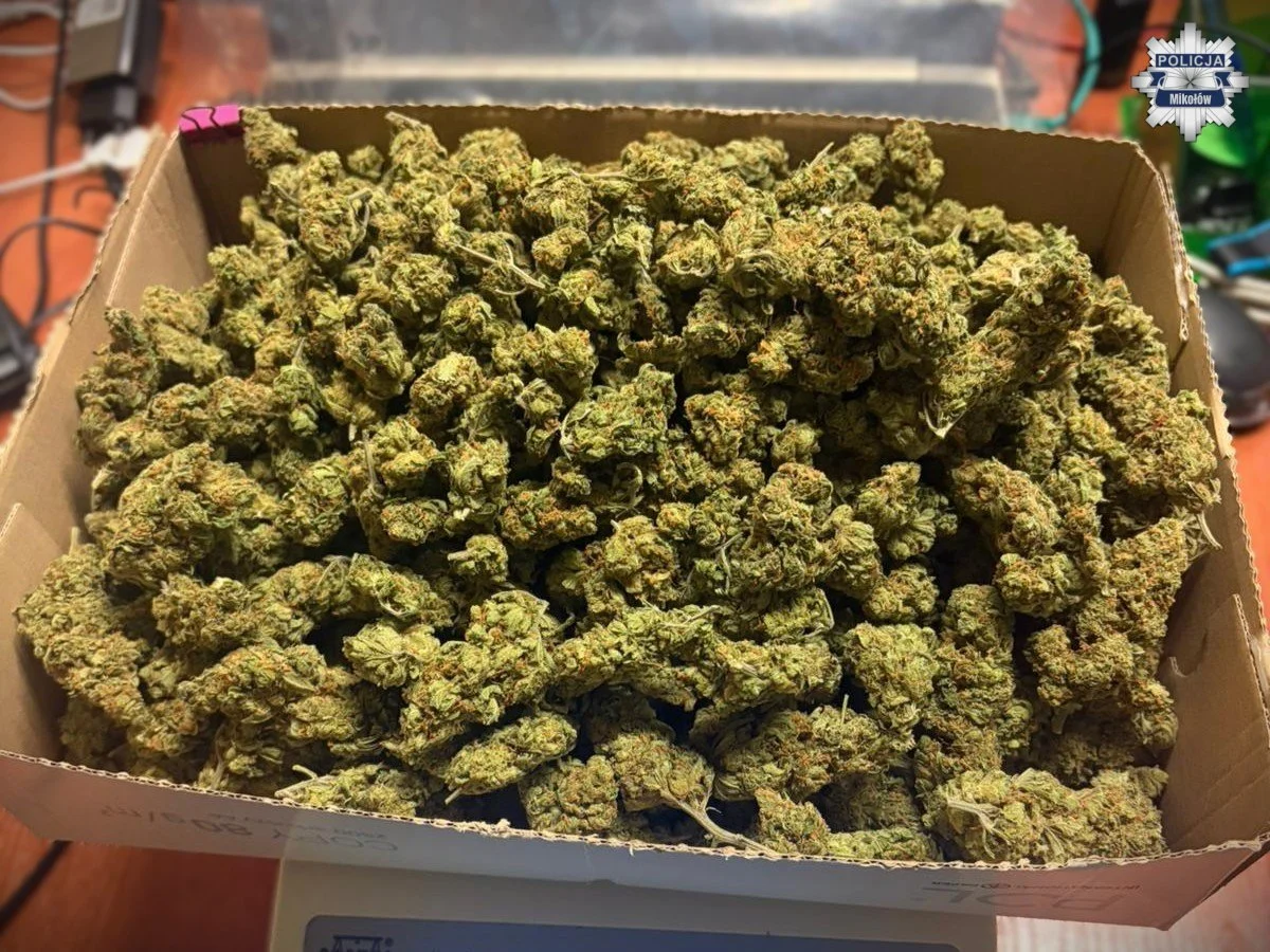 33-latek z Mikołowa zatrzymany z kilogramem marihuany – grozi mu 10 lat więzienia