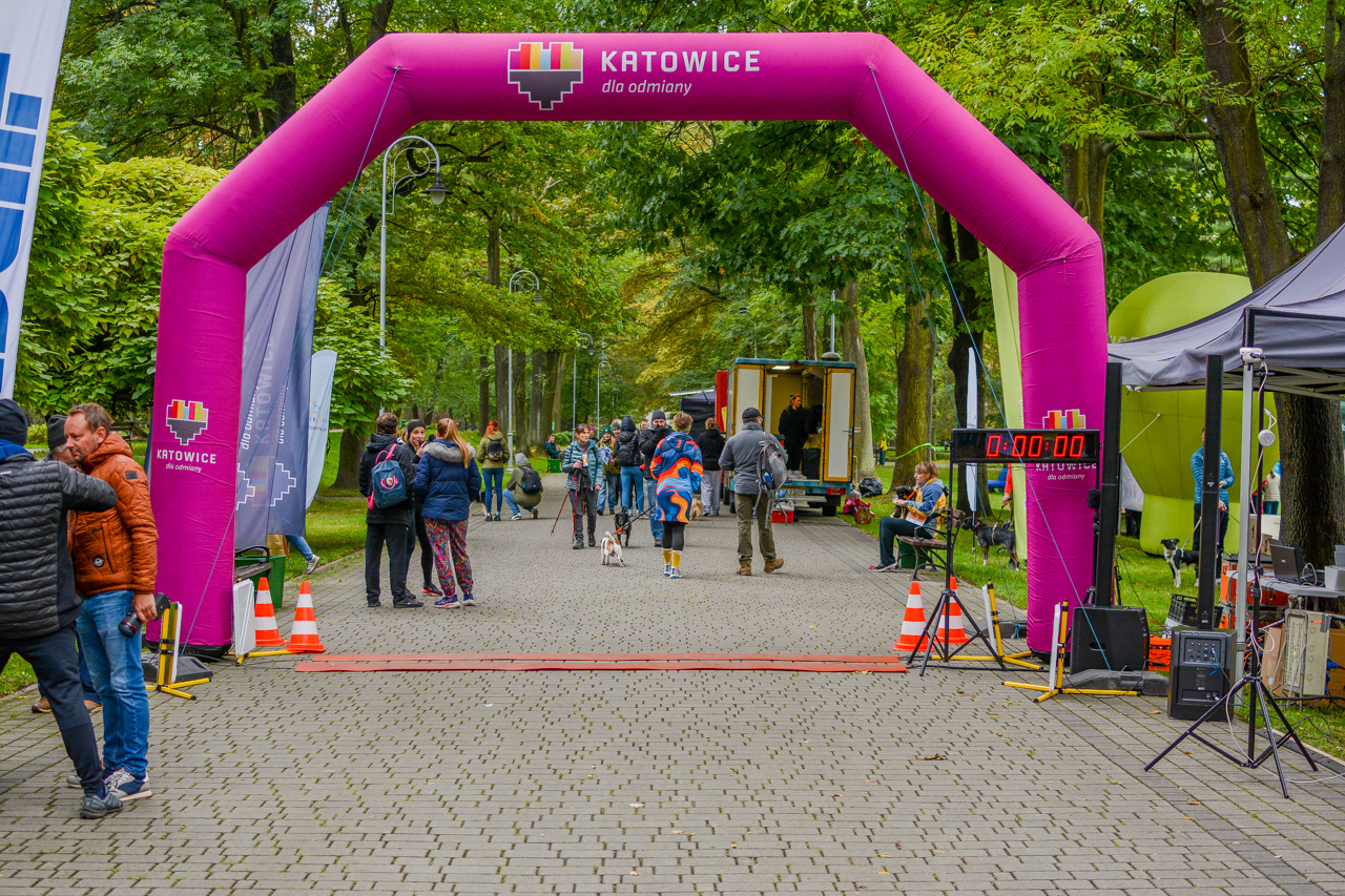 Katowicki Dzień Psiaka 2025 1
