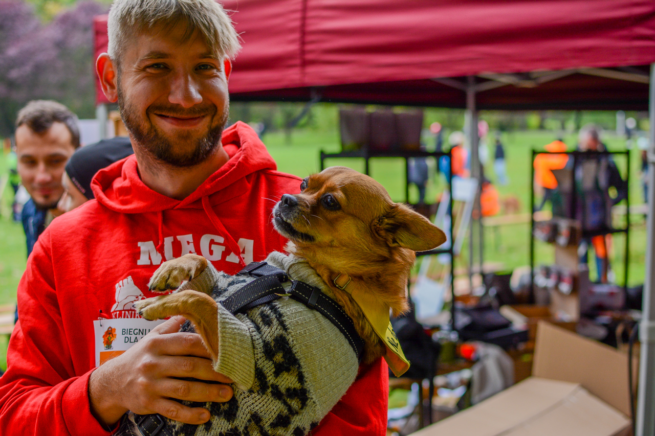 Katowicki Dzień Psiaka 2025 3