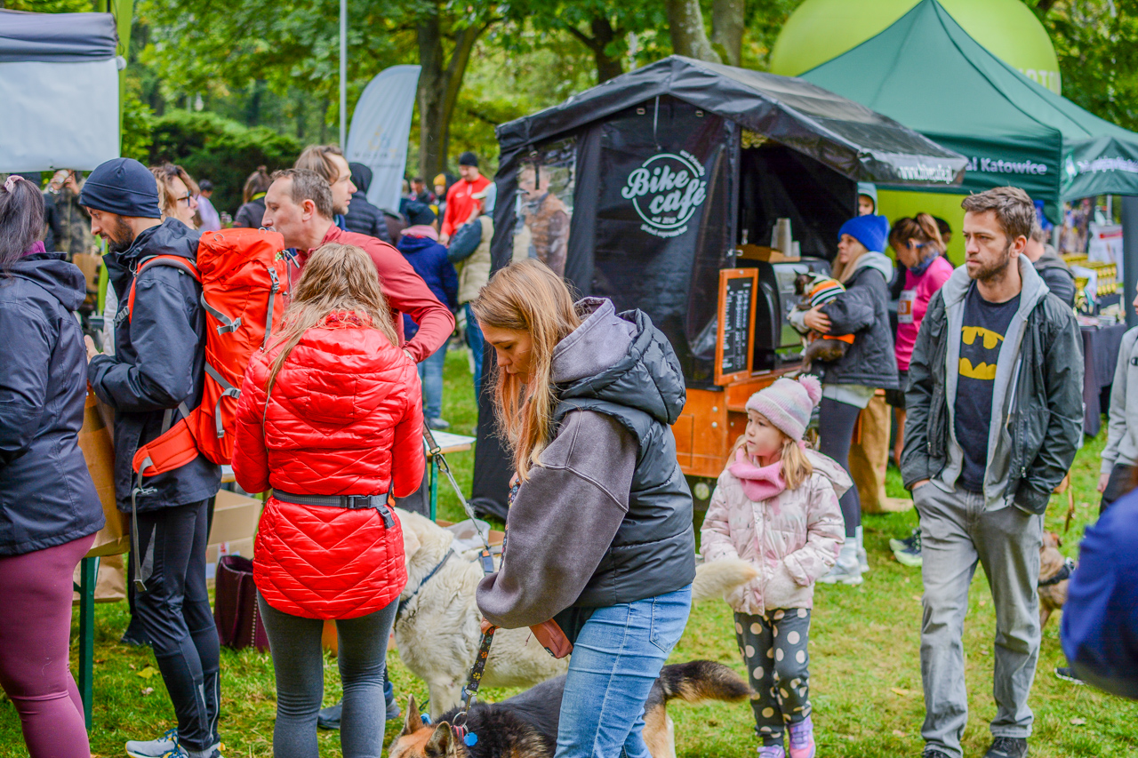 Katowicki Dzień Psiaka 2025 4