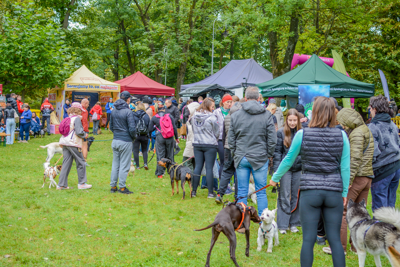 Katowicki Dzień Psiaka 2025 11