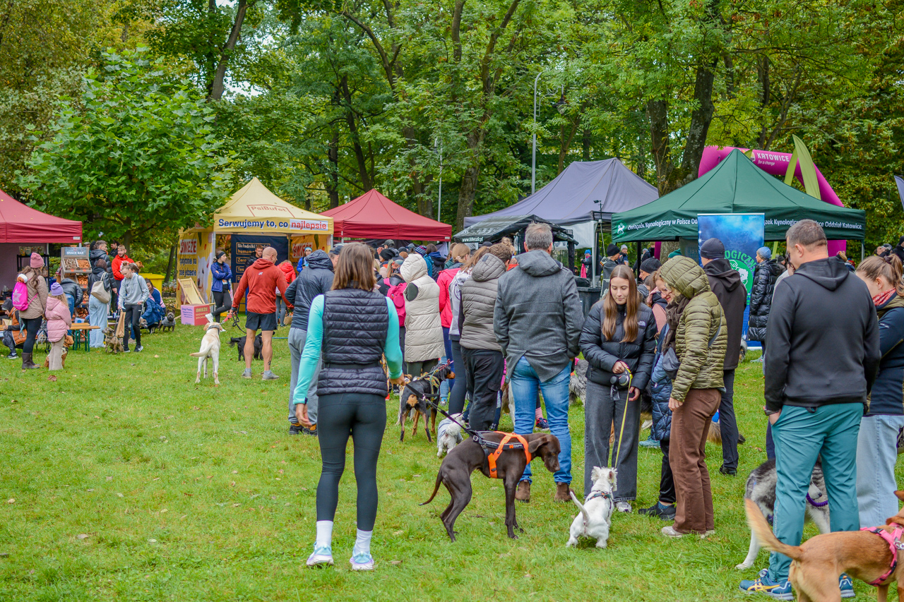 Katowicki Dzień Psiaka 2025 12