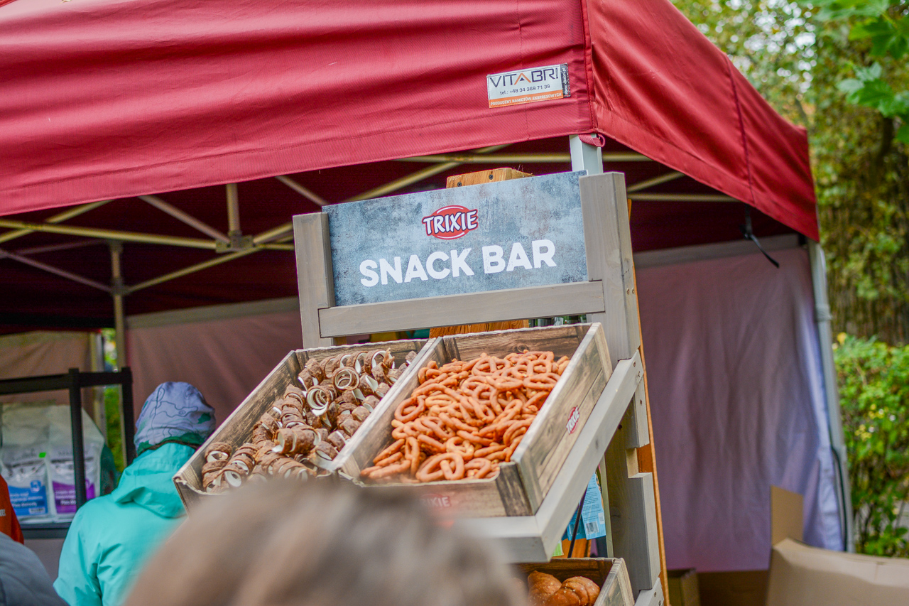 Katowicki Dzień Psiaka 2025 22