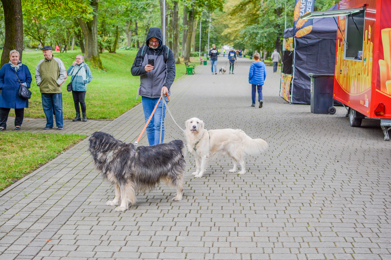 Katowicki Dzień Psiaka 2025 23