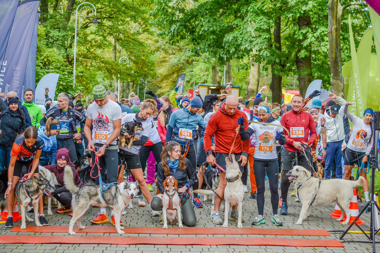 Katowicki Dzień Psiaka 2025 26