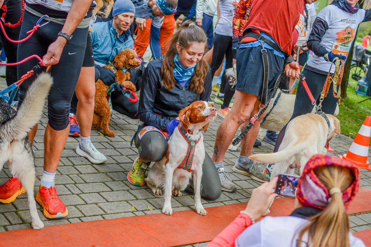 Katowicki Dzień Psiaka 2025 27
