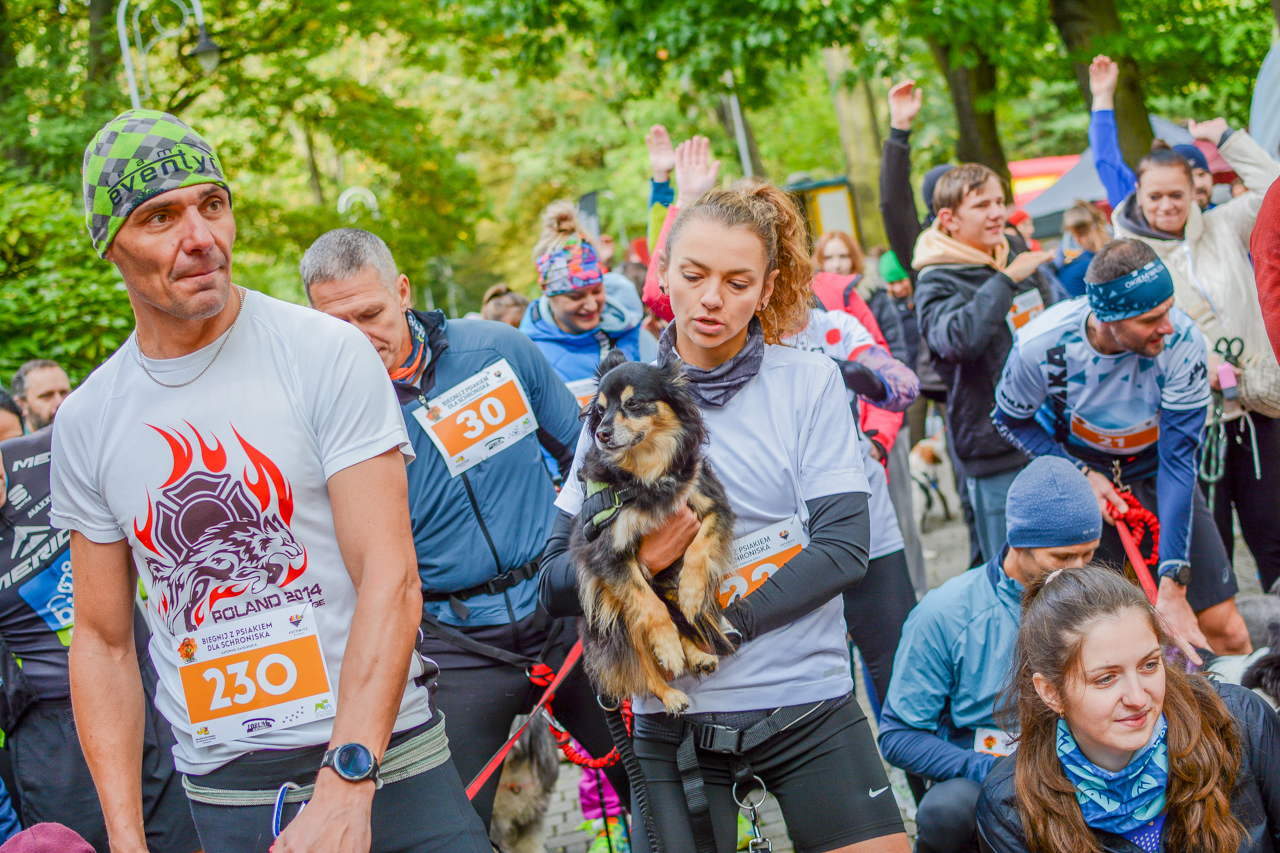 Katowicki Dzień Psiaka 2025 29