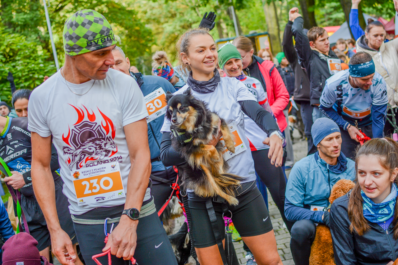 Katowicki Dzień Psiaka 2025 31