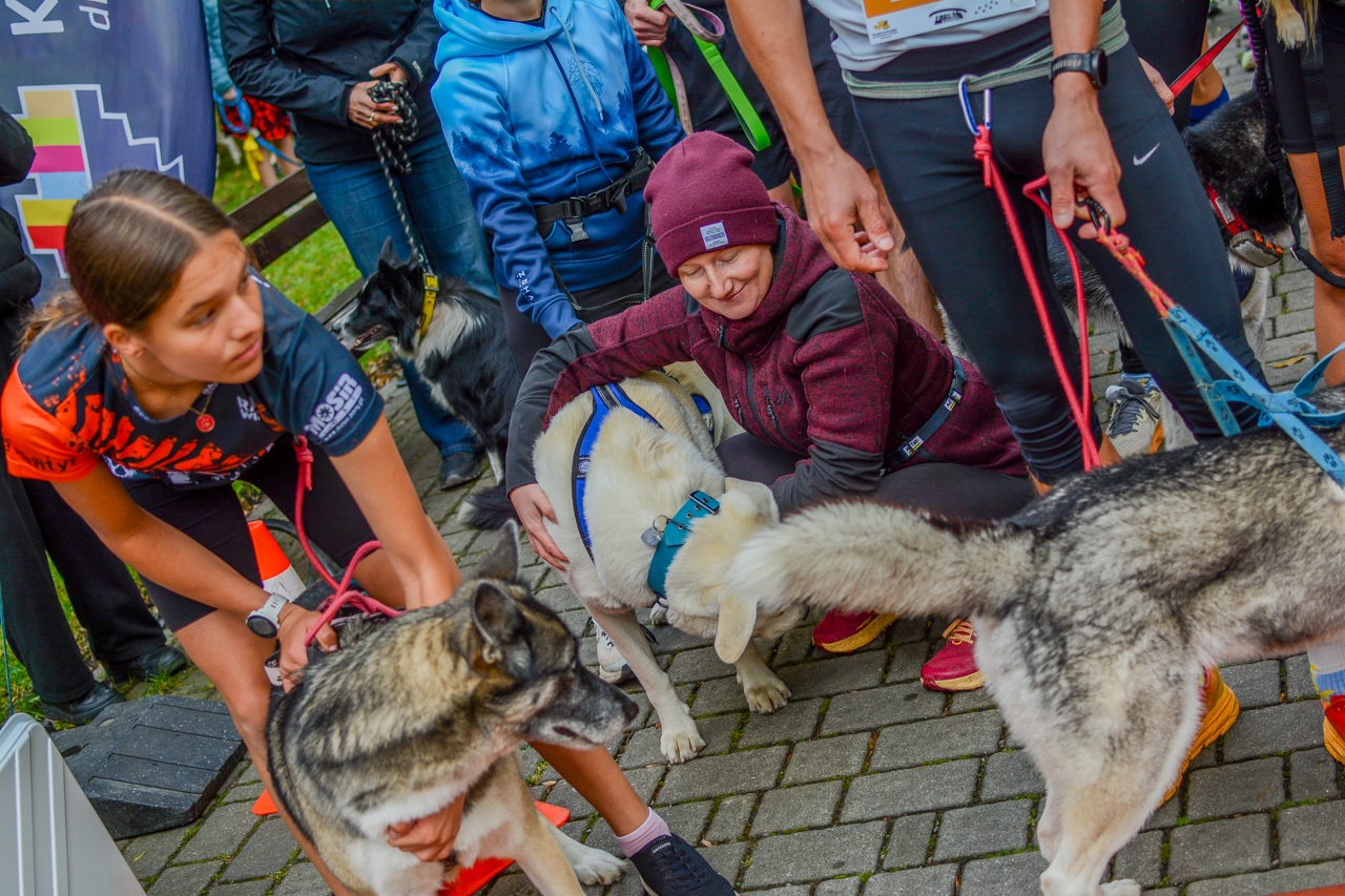 Katowicki Dzień Psiaka 2025 32