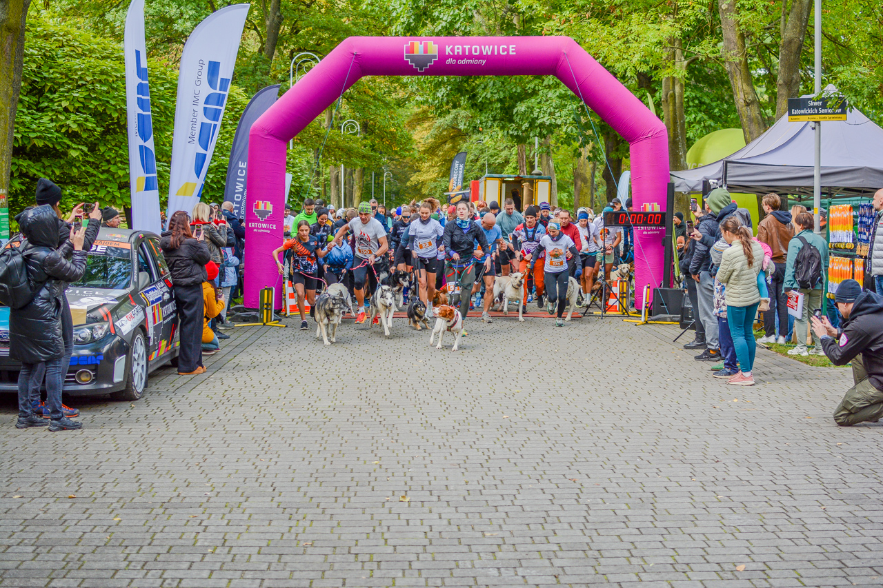 Katowicki Dzień Psiaka 2025 33