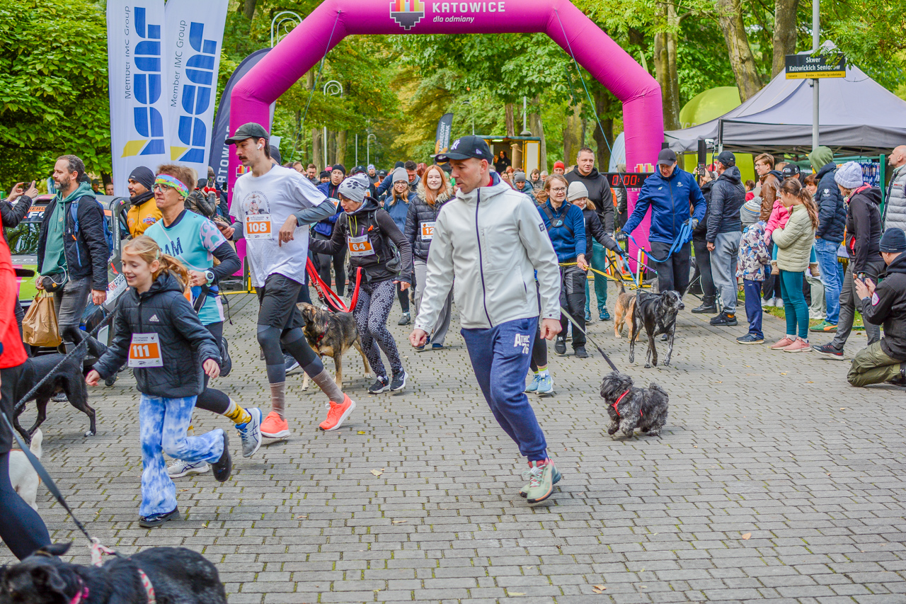 Katowicki Dzień Psiaka 2025 37