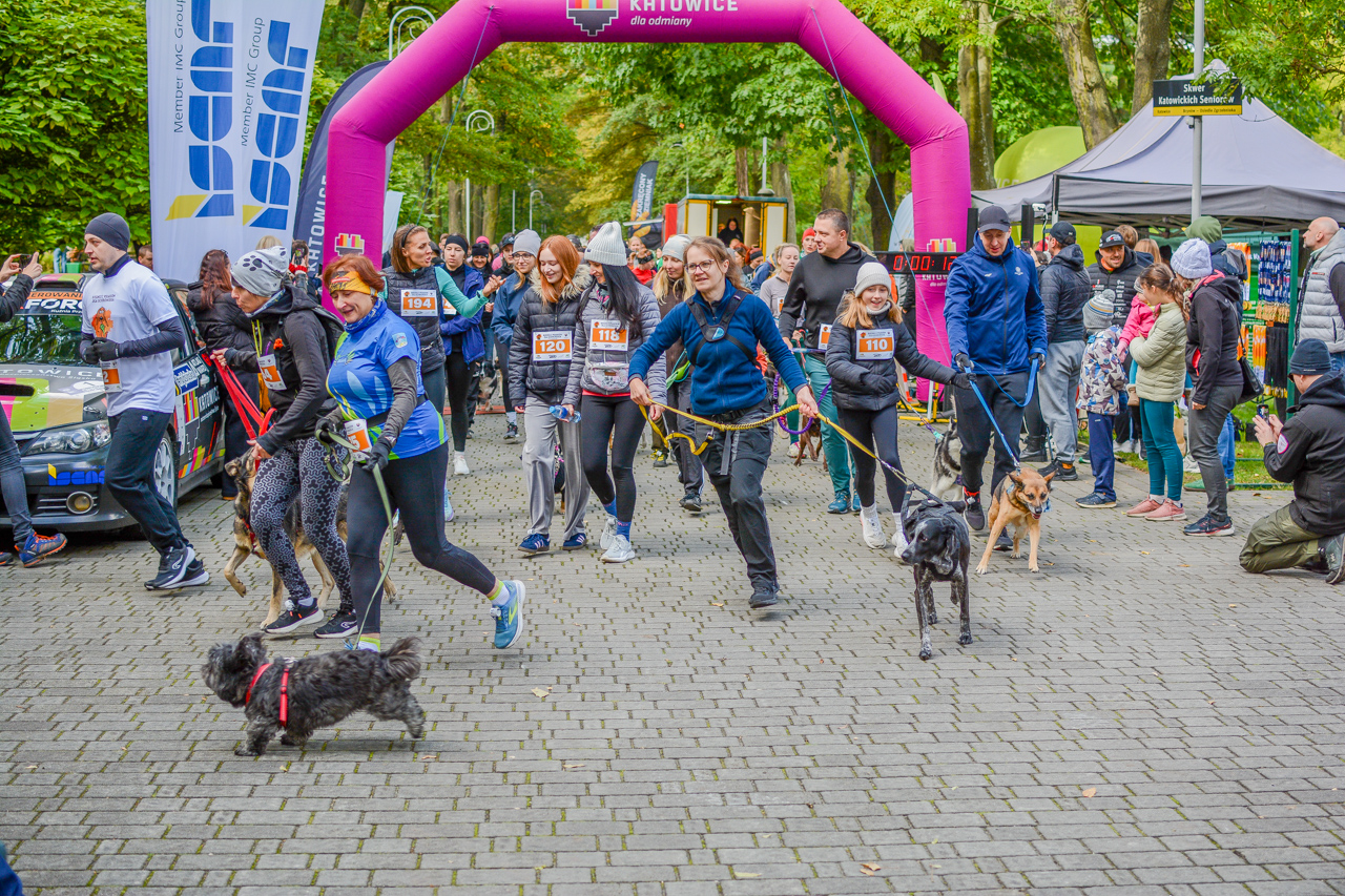 Katowicki Dzień Psiaka 2025 38