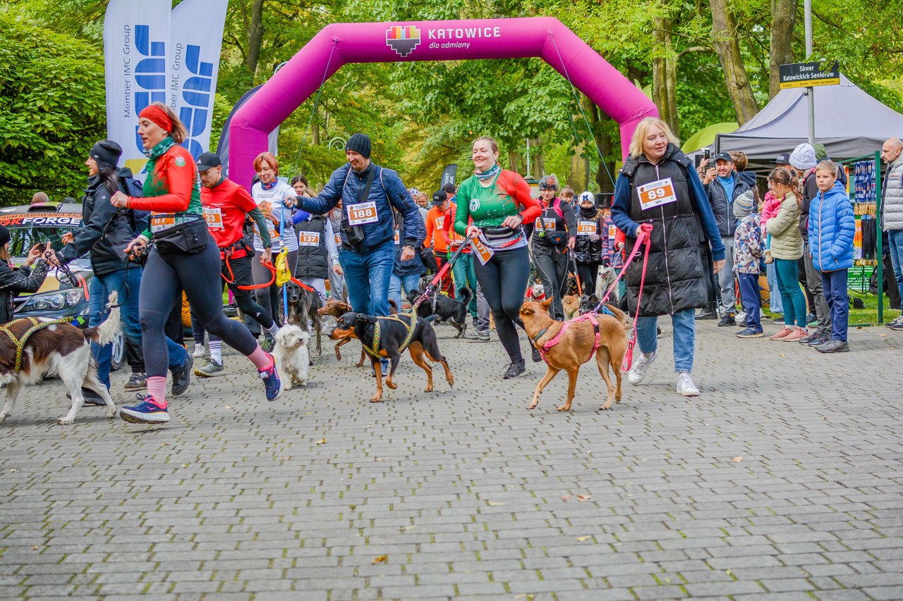Katowicki Dzień Psiaka 2025 39
