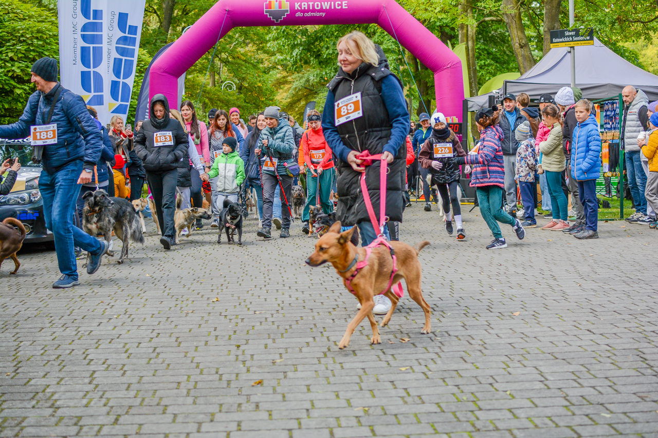 Katowicki Dzień Psiaka 2025 40