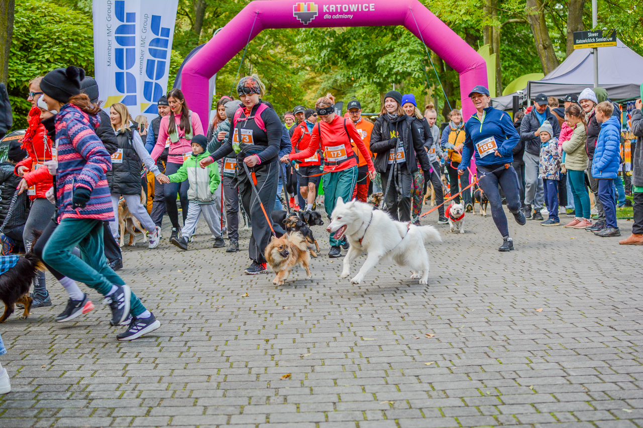 Katowicki Dzień Psiaka 2025 41