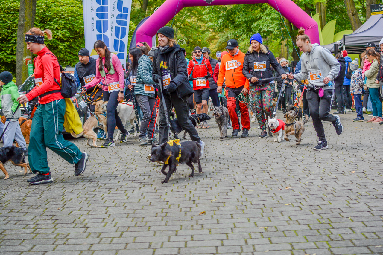 Katowicki Dzień Psiaka 2025 43