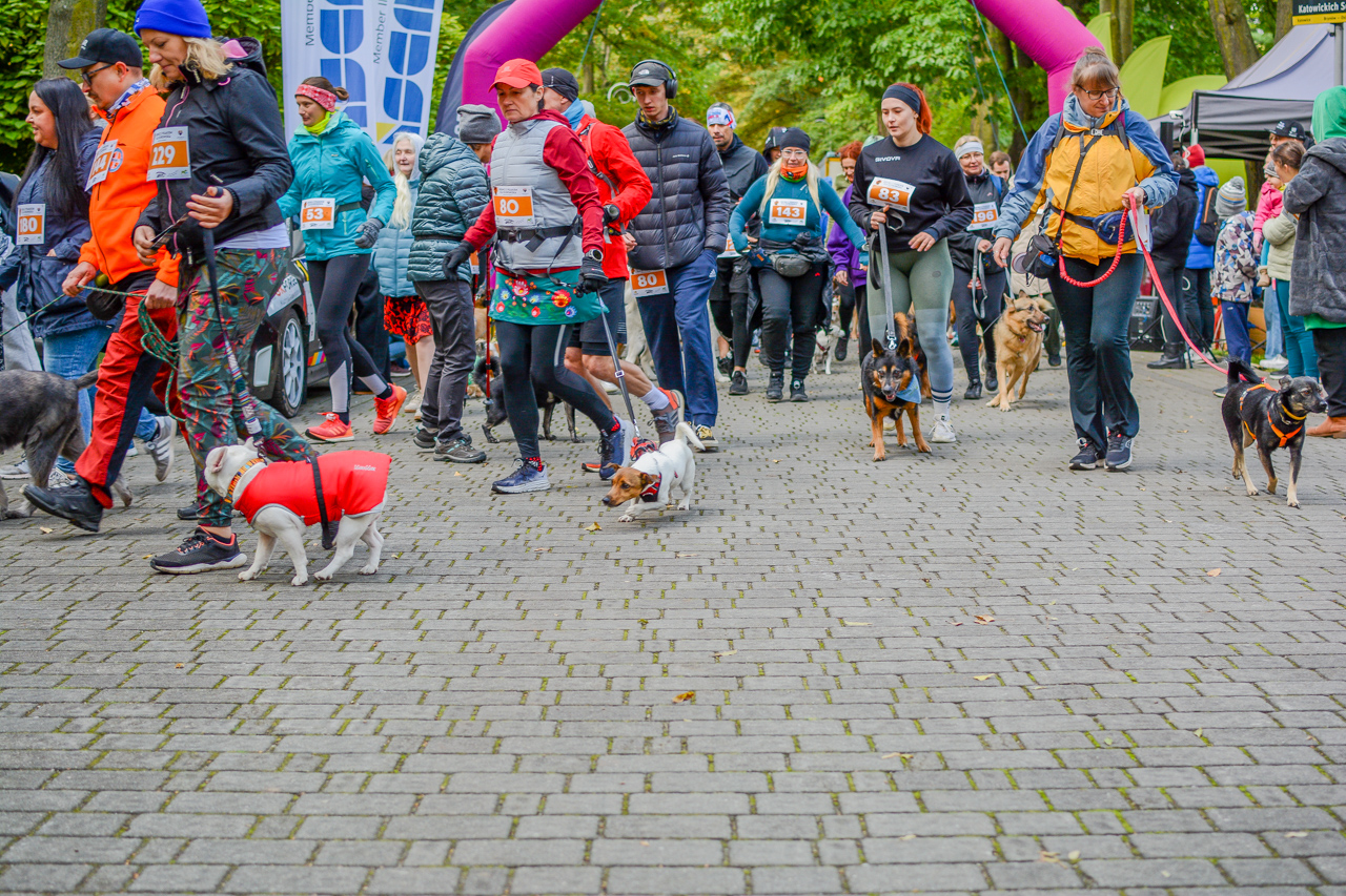 Katowicki Dzień Psiaka 2025 46