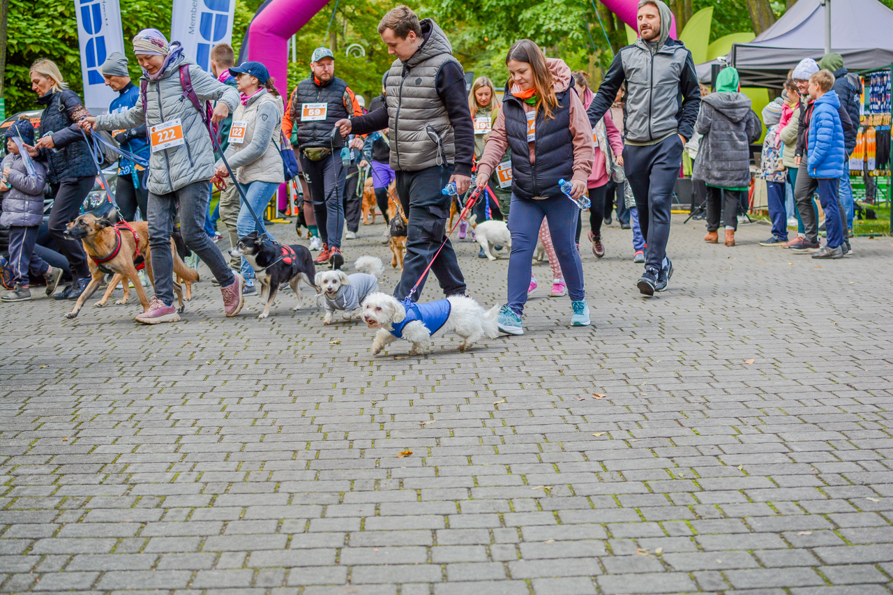 Katowicki Dzień Psiaka 2025 47