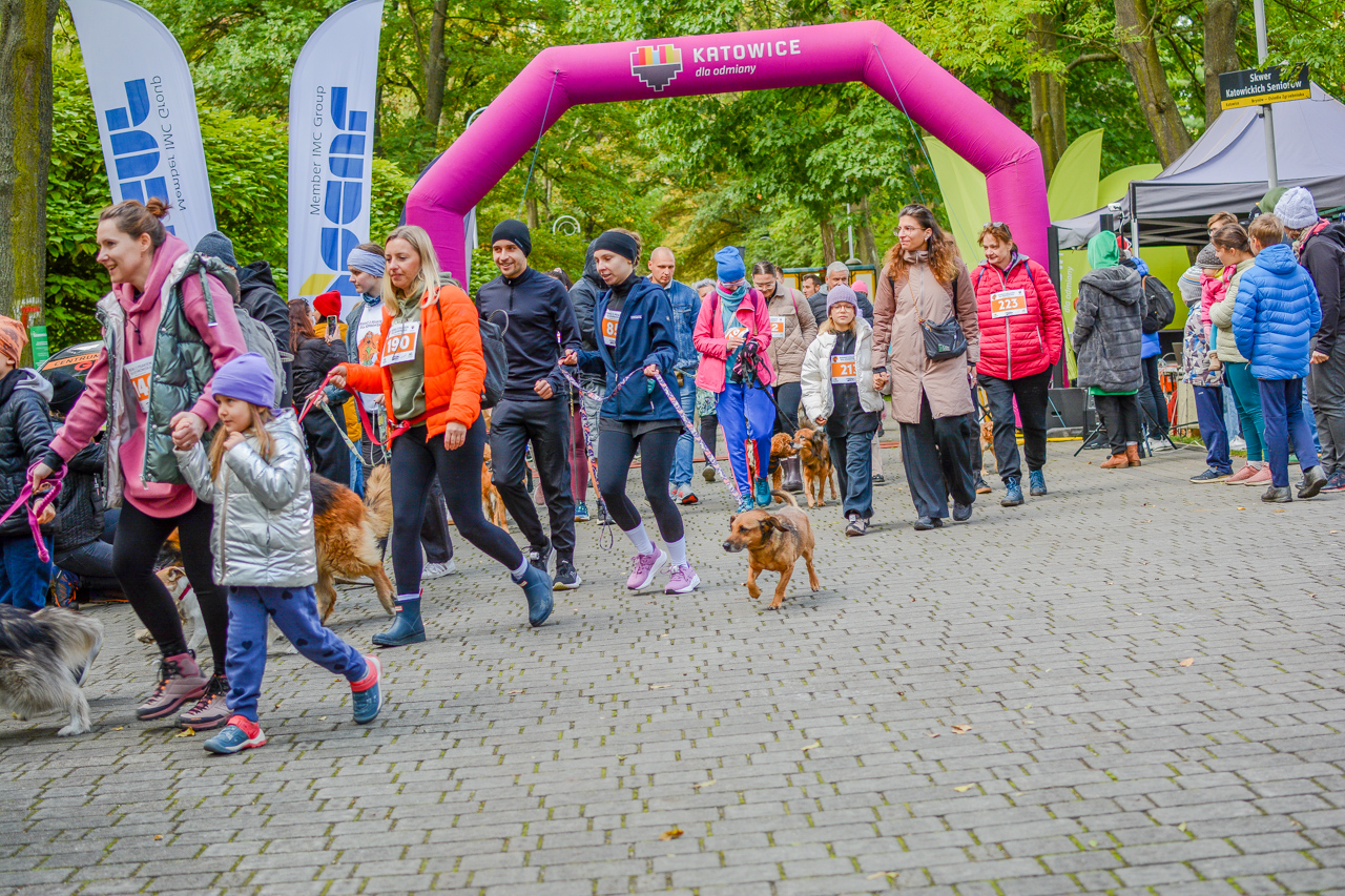 Katowicki Dzień Psiaka 2025 49