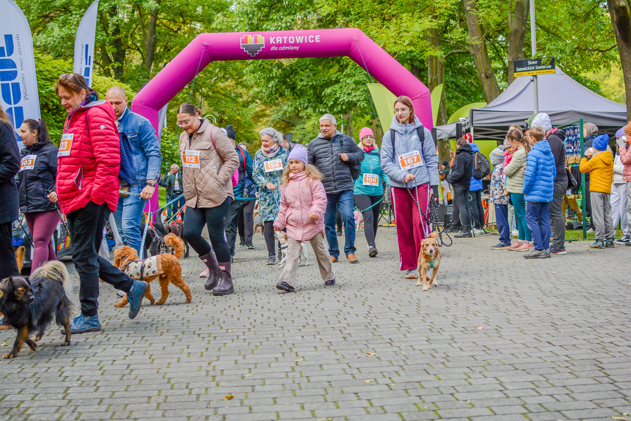 Katowicki Dzień Psiaka 2025 50