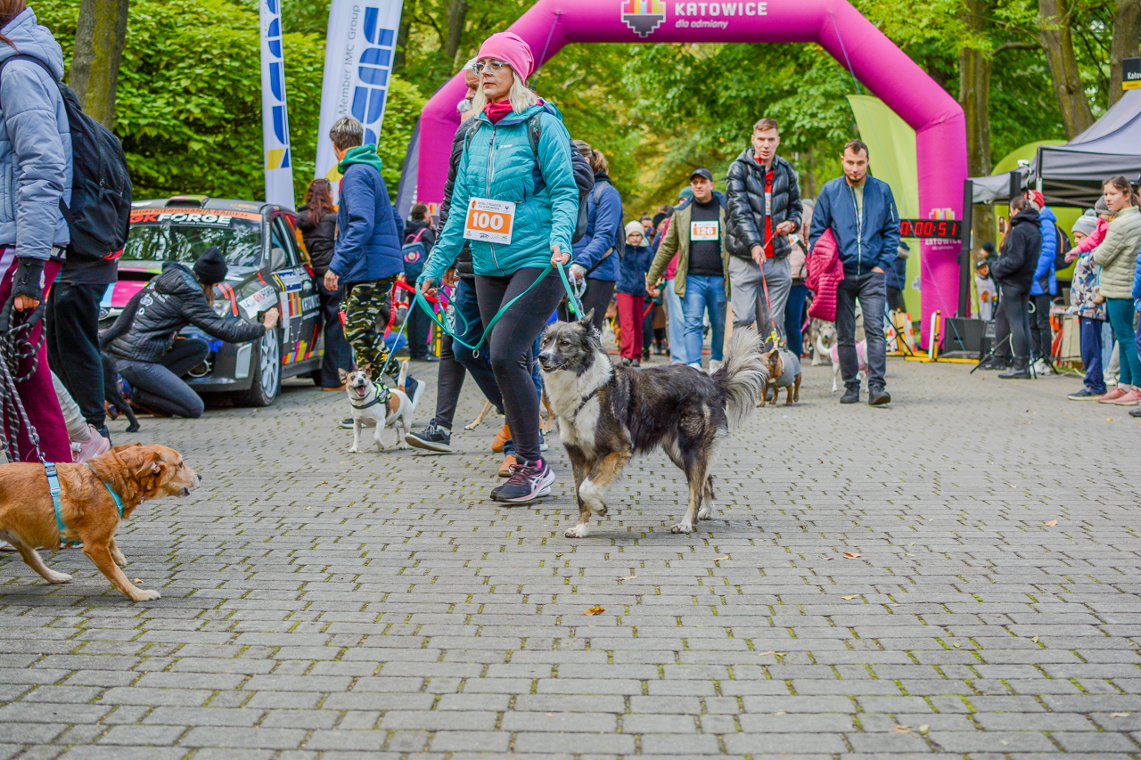 Katowicki Dzień Psiaka 2025 51