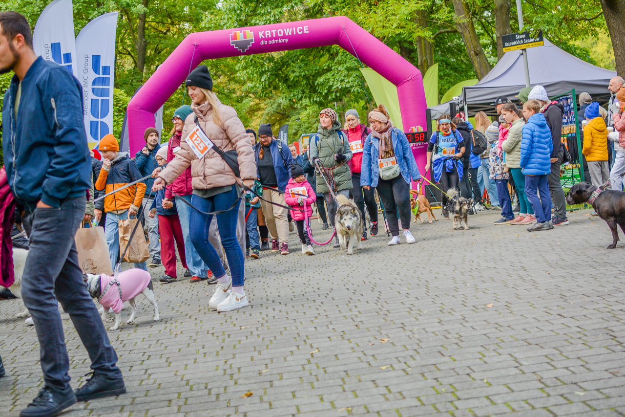 Katowicki Dzień Psiaka 2025 53