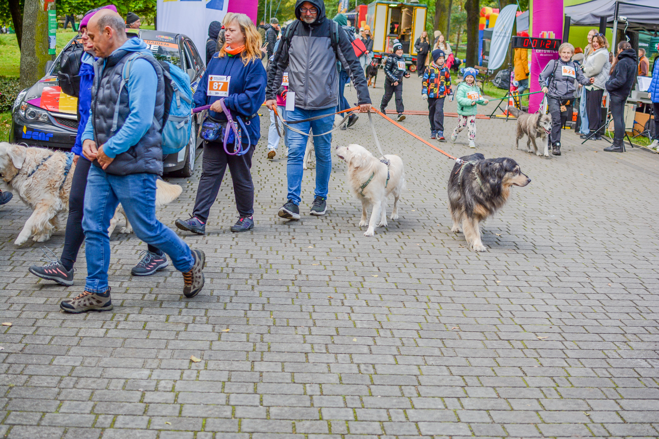 Katowicki Dzień Psiaka 2025 55