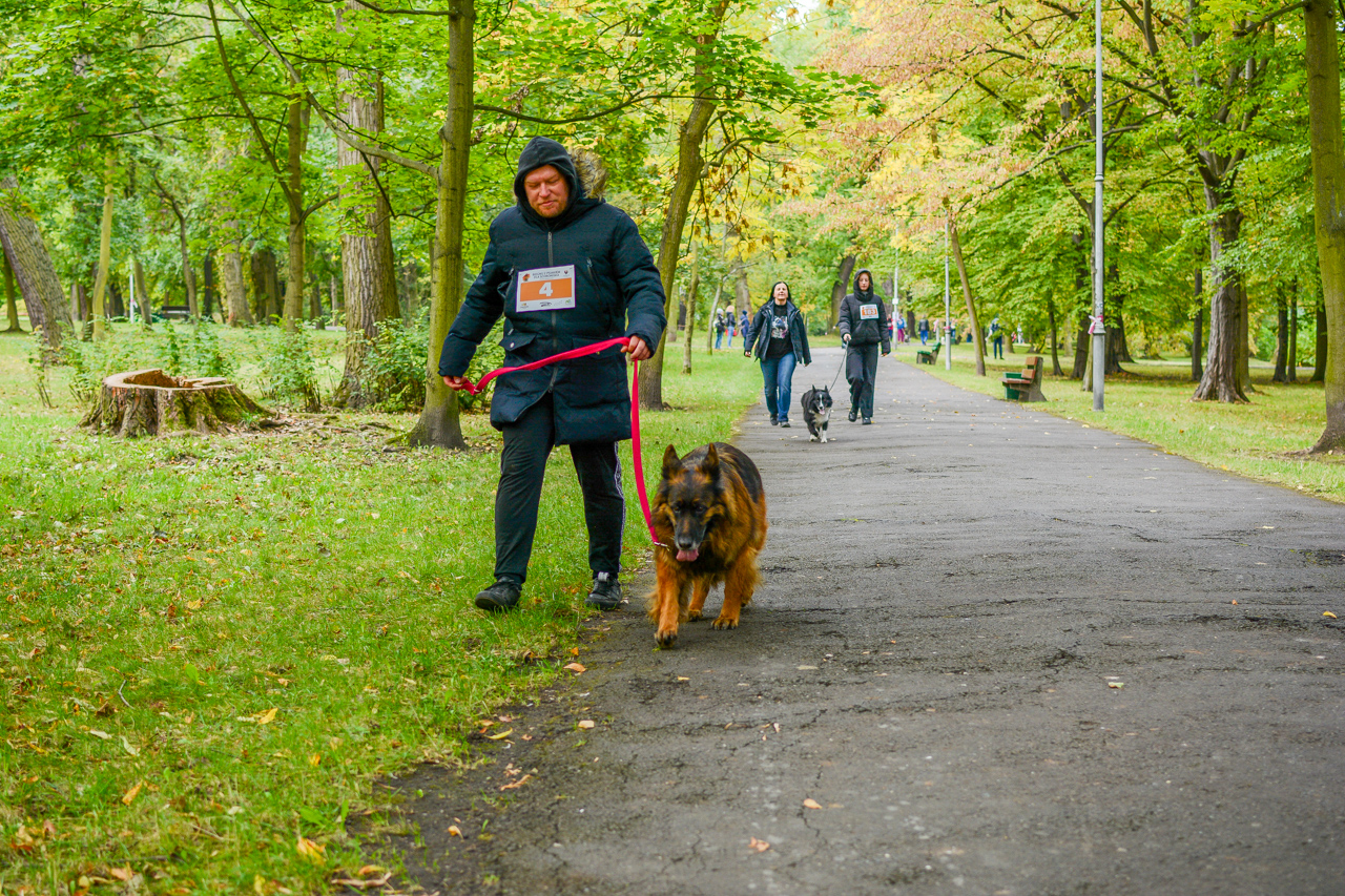 Katowicki Dzień Psiaka 2025 62