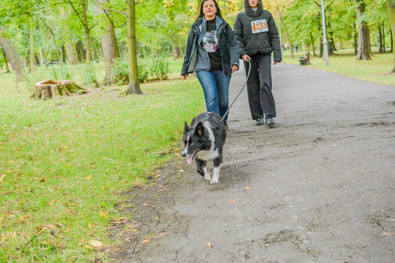 Katowicki Dzień Psiaka 2025 63