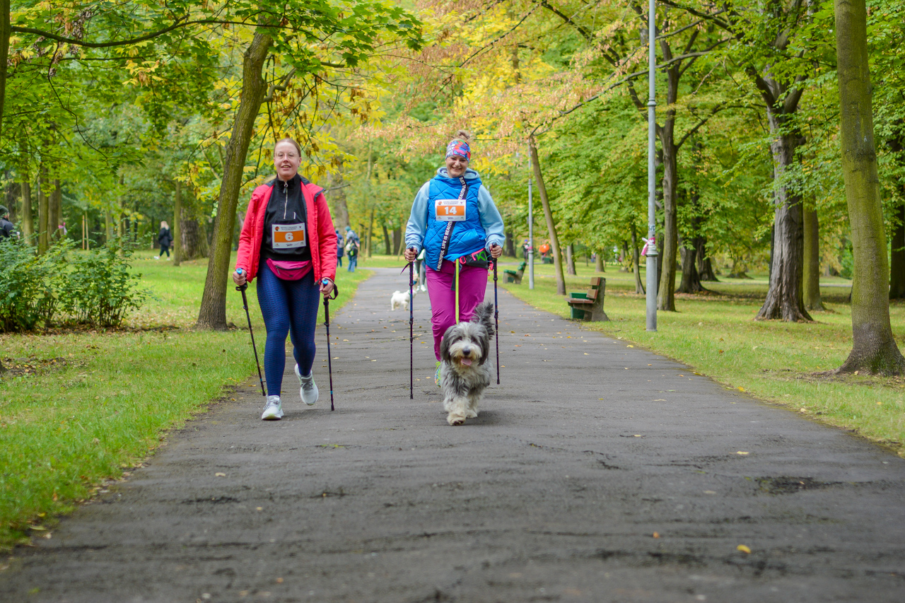 Katowicki Dzień Psiaka 2025 66