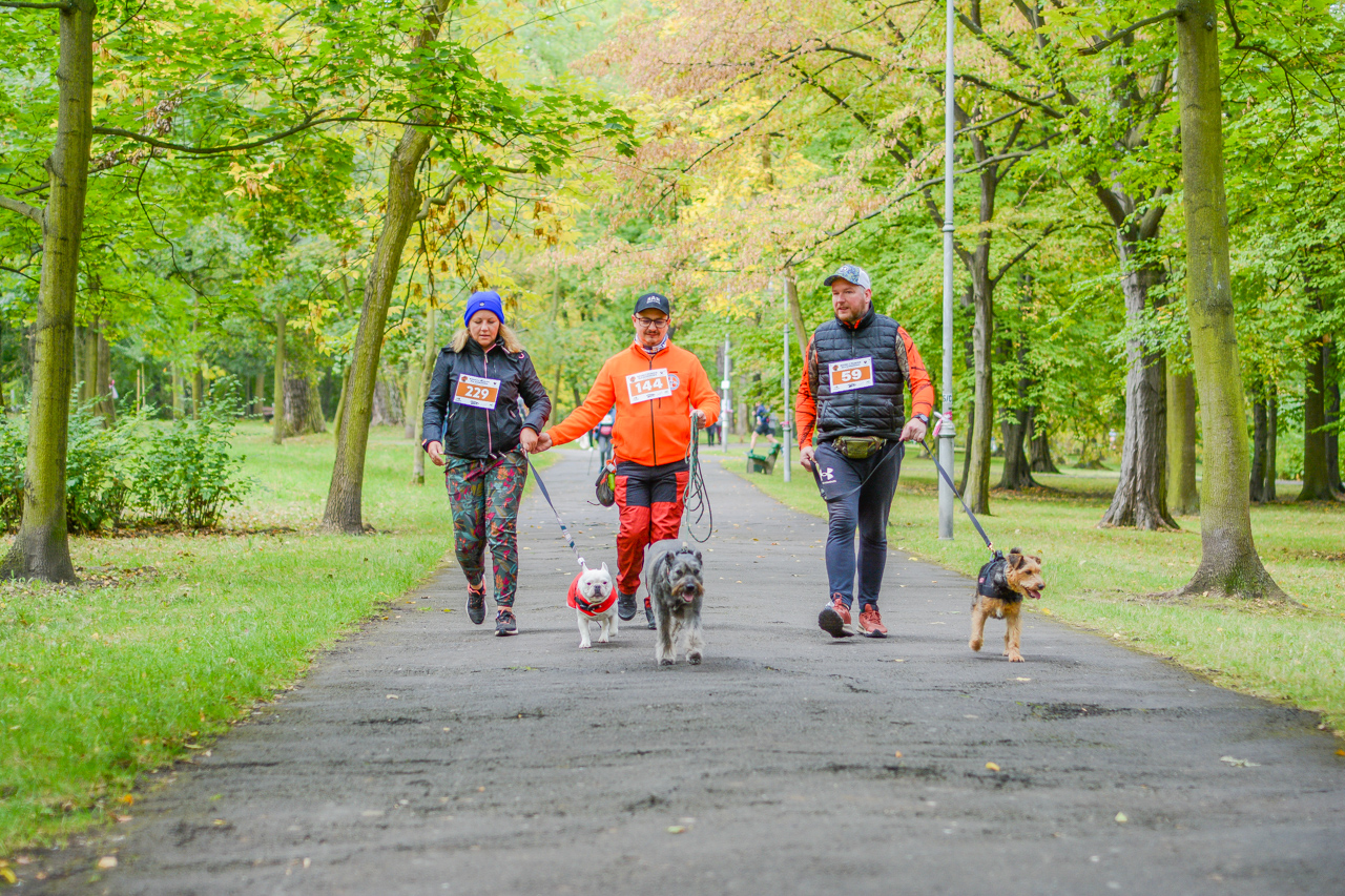 Katowicki Dzień Psiaka 2025 74