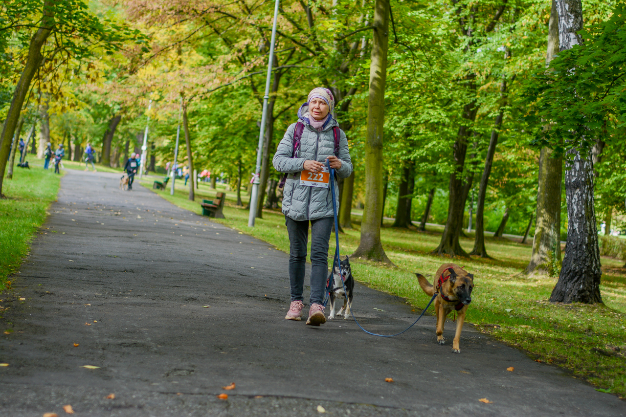 Katowicki Dzień Psiaka 2025 80