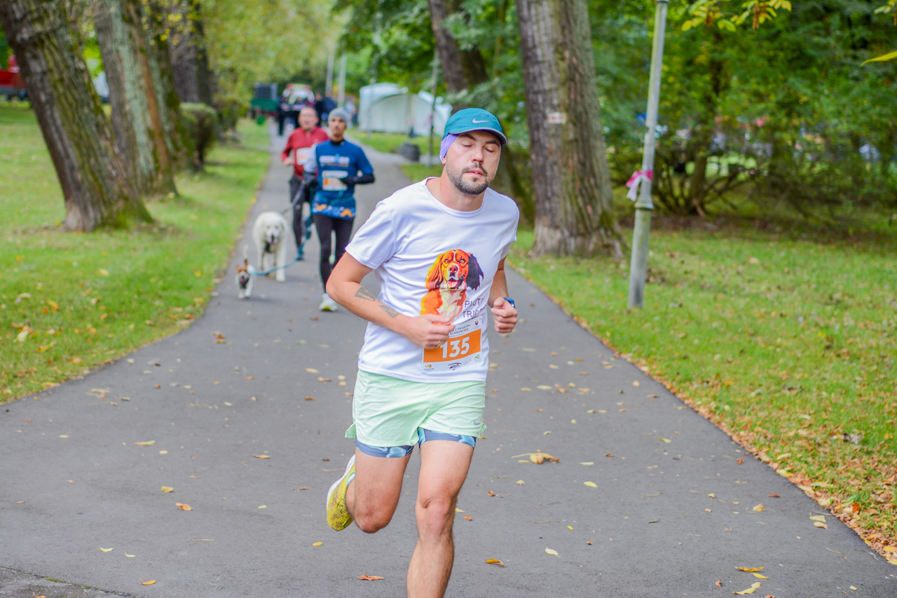 Katowicki Dzień Psiaka 2025 86