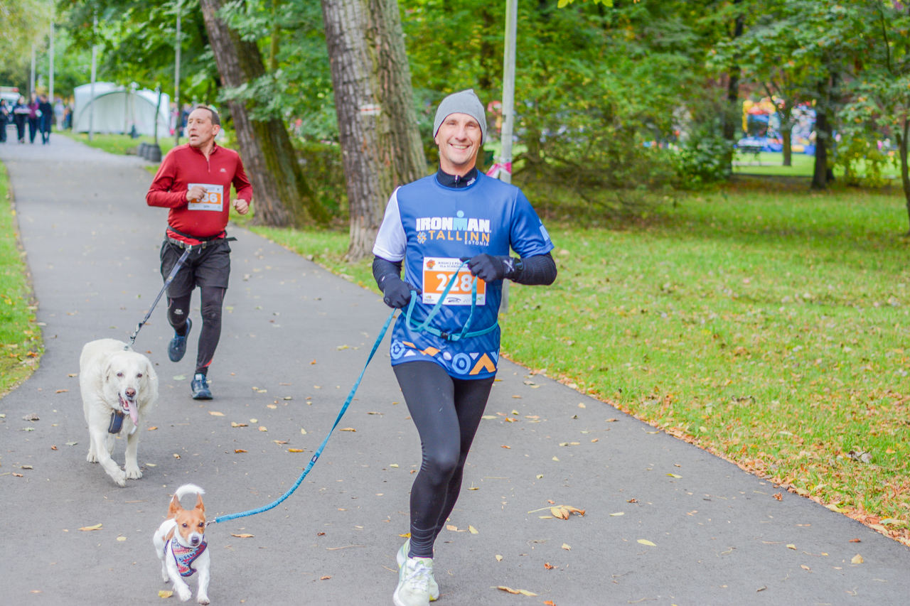 Katowicki Dzień Psiaka 2025 87