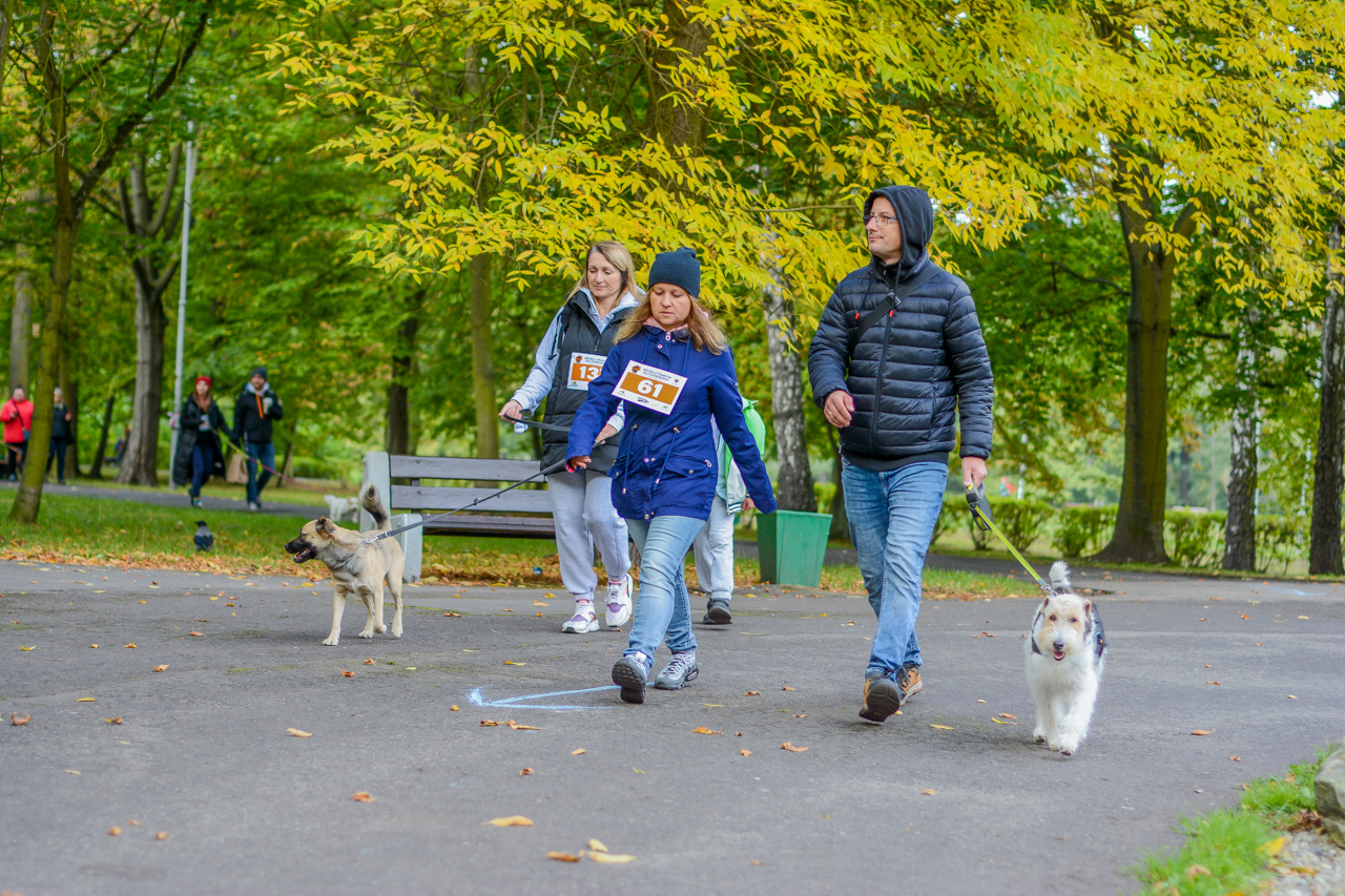 Katowicki Dzień Psiaka 2025 88