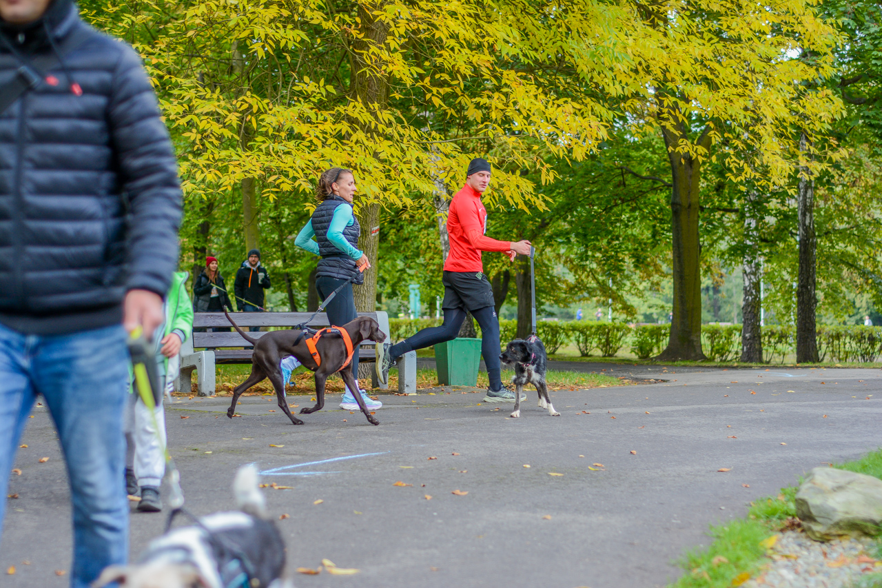 Katowicki Dzień Psiaka 2025 89