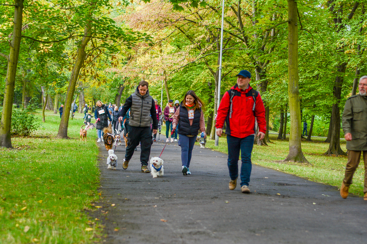 Katowicki Dzień Psiaka 2025 93