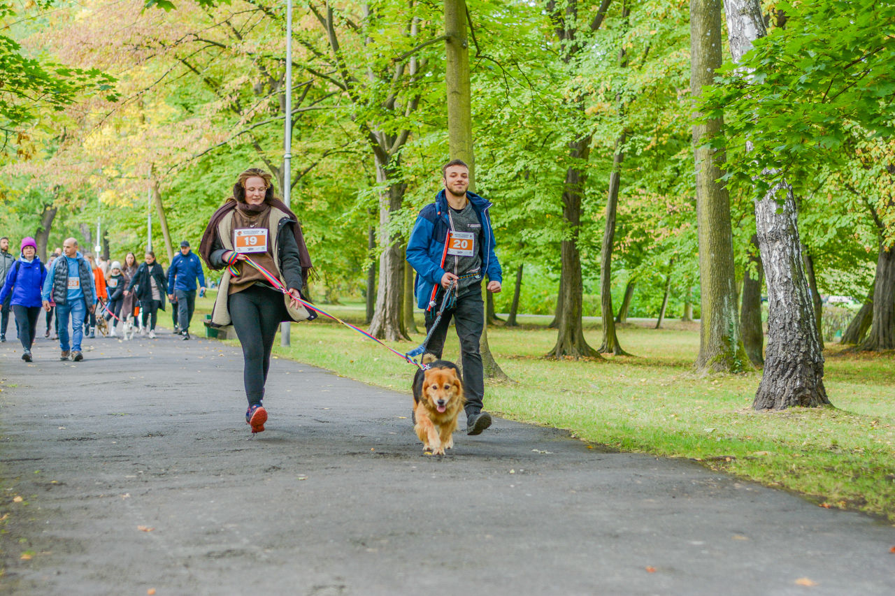 Katowicki Dzień Psiaka 2025 95