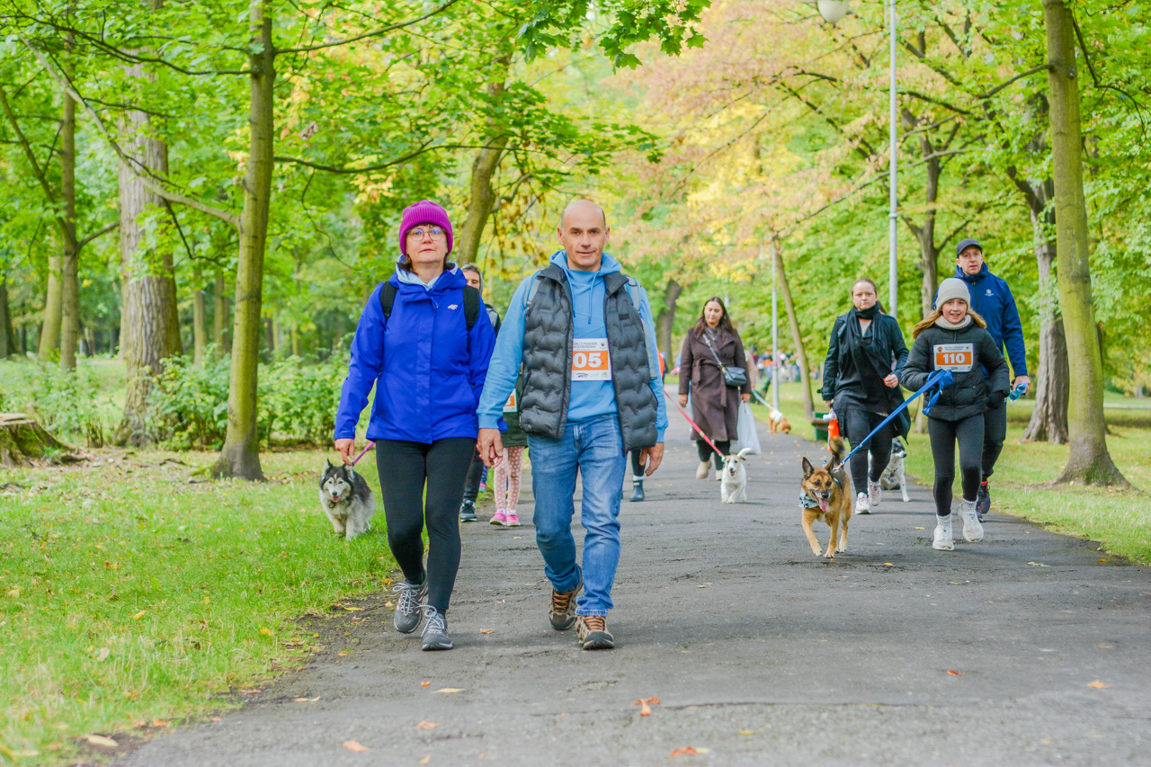 Katowicki Dzień Psiaka 2025 96