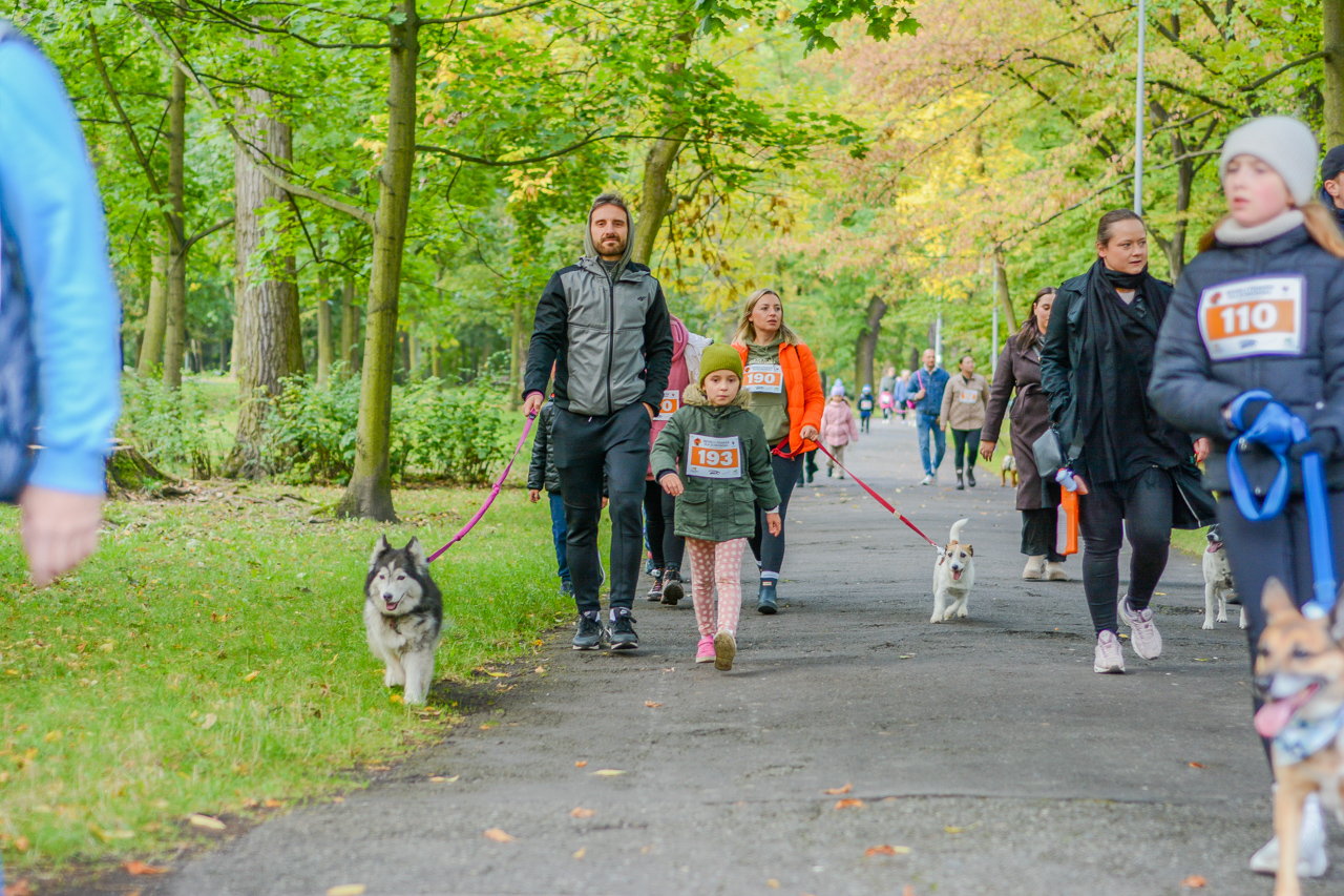 Katowicki Dzień Psiaka 2025 98