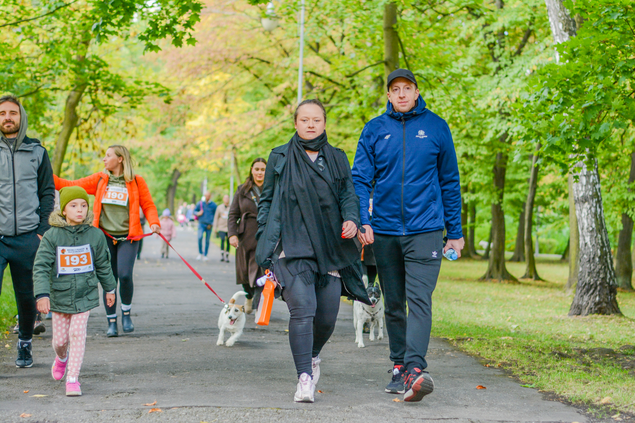 Katowicki Dzień Psiaka 2025 99