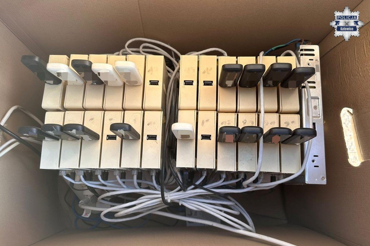 Zatrzymano hakera z Ukrainy za oszustwa „na BLIK” i łamanie haseł online