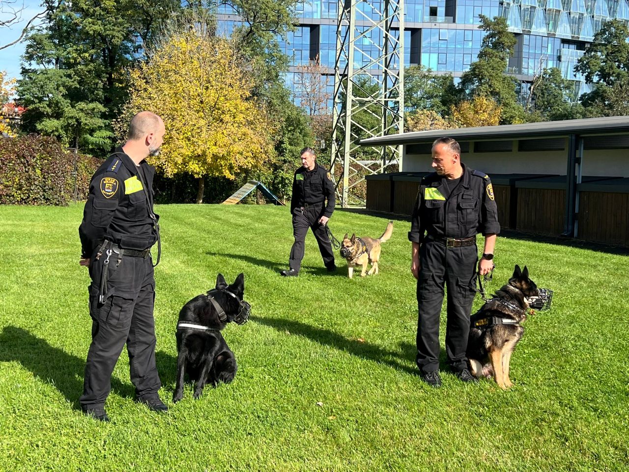 Katowice i Kolonia razem na rzecz bezpieczeństwa – międzynarodowa wymiana doświadczeń