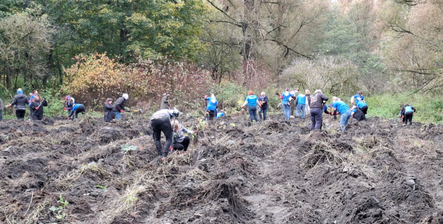 1000 nowych drzew w lesie Motocross. Czwarta edycja z Dotlenieni.org i Capgemini